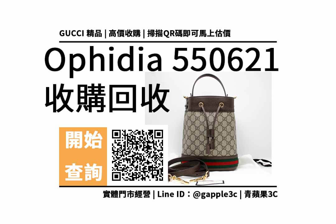 GUCCI GG Ophidia 550621